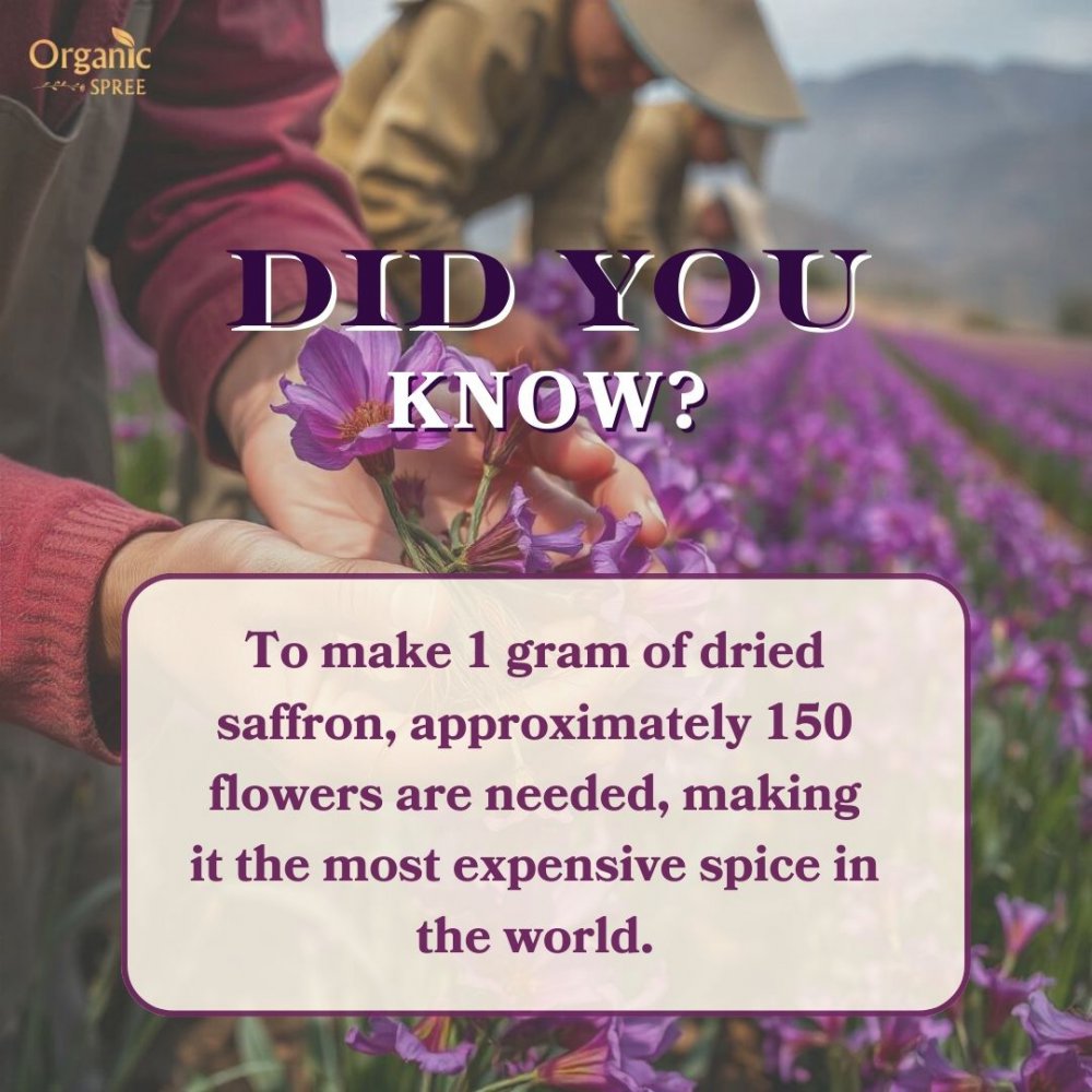 Organic Spree Kashmiri Saffron Kesar 1gm - From the finest farmlands of Pampore J&K