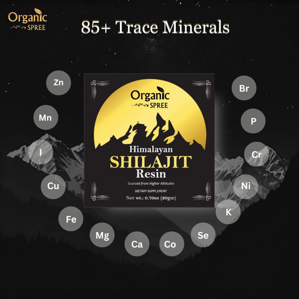 Organic Spree Himalayan Shilajit Resin 20gm | Supports Energy, Recovery, Immune Function, and Overall Health.